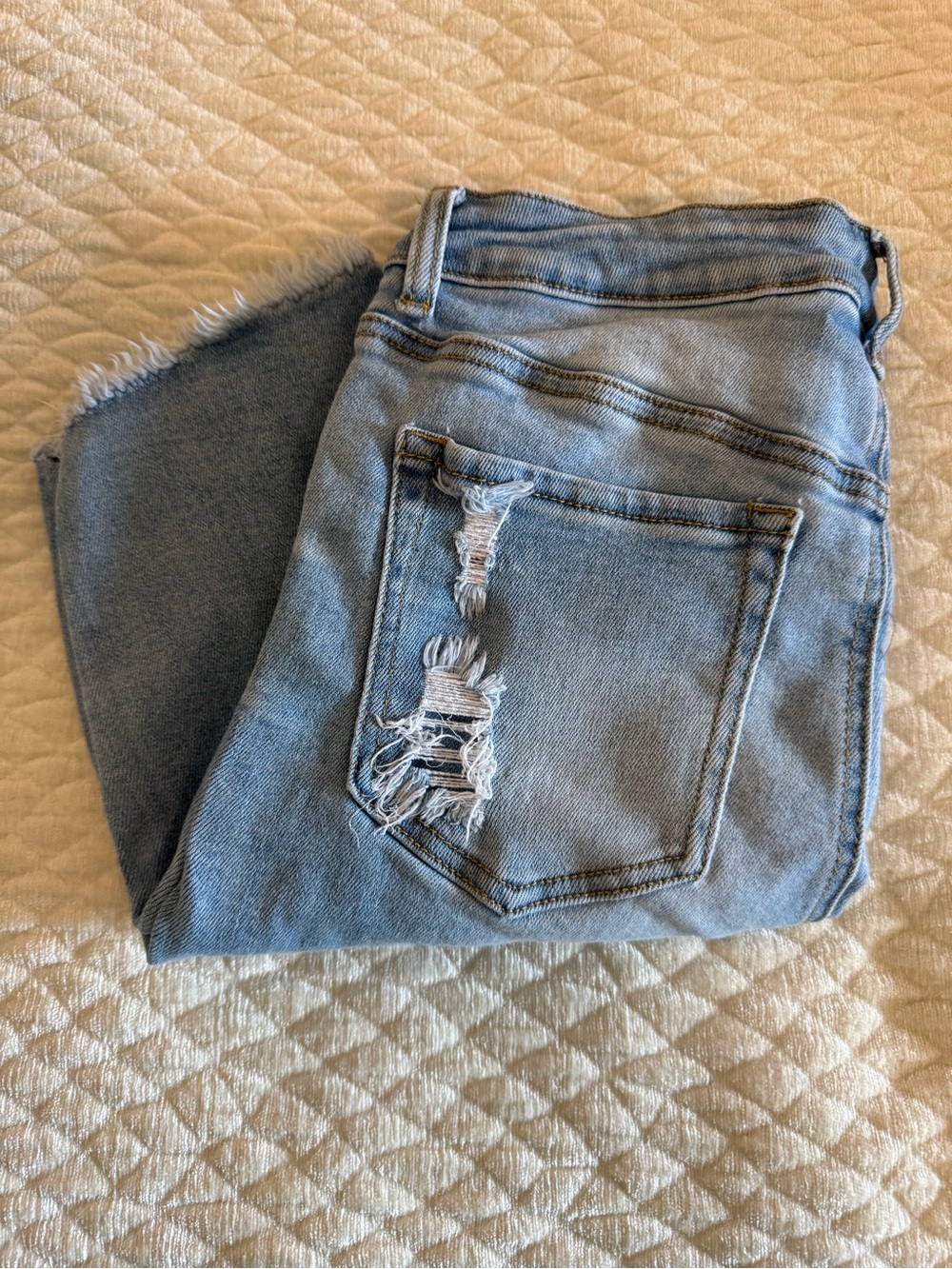 Wax Jean Light Wash Heavily Distressed Denim Shorts - Size L